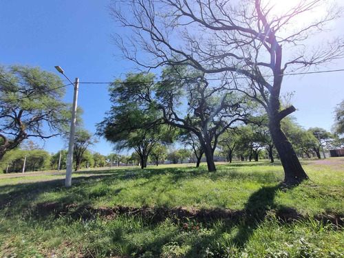 Las Mejores Ubicaciones En Alwa, Ruta 16