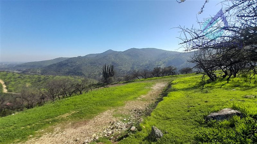 Parcela En Venta En Talagante Papagayo Cerro Con Agua Y Luz.