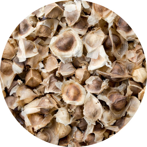 1 Kg Moringa Semilla Orgánica De Excelente Calidad