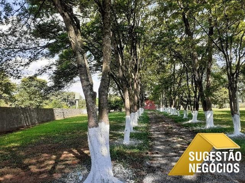 Chácara Região Da Castelo Branco 5 Mil M2 - 3227