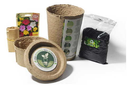 Urna Ecológica 100% Biodegradável Kraft