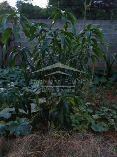 Imagem 6 de 6 de Chácara À Venda Em Chácara Santa Margarida - Ch004338