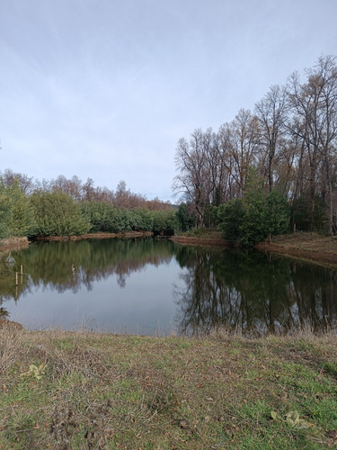 Parcela Plana 5.000 M2 En Condominio - San Fabián De Alico