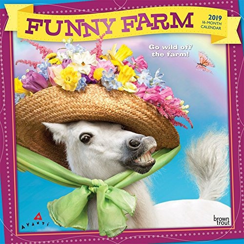 Avanti Funny Farm 2019 12 X 12 Inch Monthly Square Wall Cale