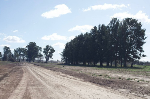 Imagen 8 de 11 de Inversion Venta De Lote En Barrio Cerrado Zona Oeste San Fermin Nueva Autopista