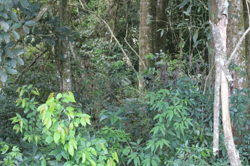 Lindo Terreno Com 7835m2 E 80% De Aproveitamento - Ch0003