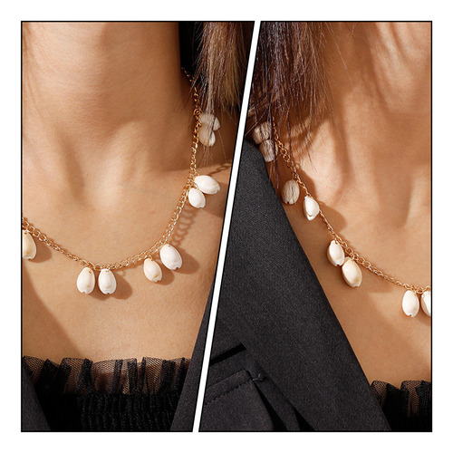 Collar Cowrie Collar Beach Shell The Summer