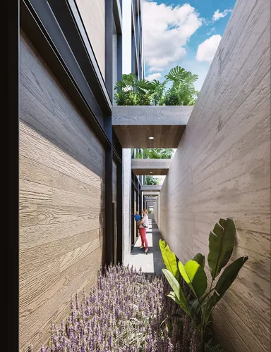 Preventa De Townhouse En Tlacotalpan, Roma Sur Th2