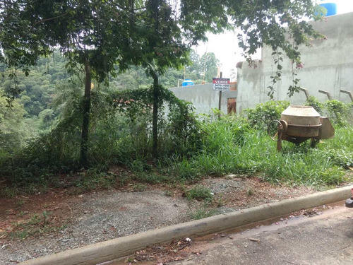 Imagem 1 de 5 de Terreno, Parque Sinai, Santana De Parnaíba - R$ 140 Mil, Cod: 235296 - V235296