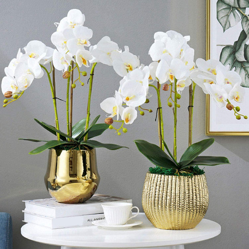 T 10 Unidades De Hojas Artificiales De Orquídea Phalaenopsis