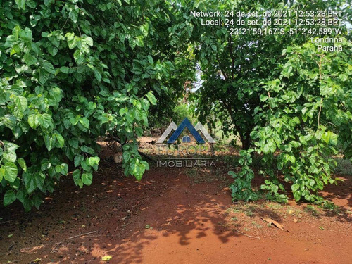 Imagem 19 de 30 de Chácara Com 2 Dormitórios À Venda, 2500 M² Por R$ 252.000,00 - Fazenda Nata - Londrina/pr - Ch0233