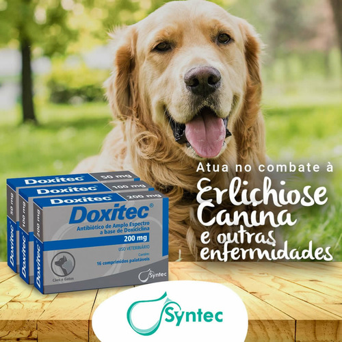 Doxitec 50 Mg - 16 Comprimidos - Cães E Gatos - Syntec