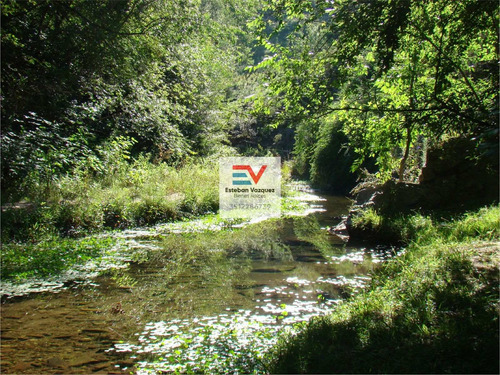 Imagen 15 de 30 de Venta. 67 Hectareas En Candonga, Cordoba. Con 2 Km De Costa De Rio. Titulos Perfectos