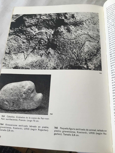 Enciclopedia Ilustrada Del Hombre Prehistórico Jan Jelinek (Usado)