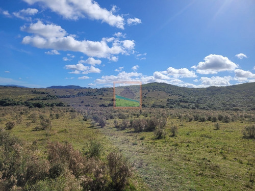 Imagen 14 de 22 de Campo Turístico 145hás En Zona De Pan De Azúcar