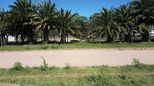 Imagen 4 de 12 de Venta De Lote Sobre Av. Naval
