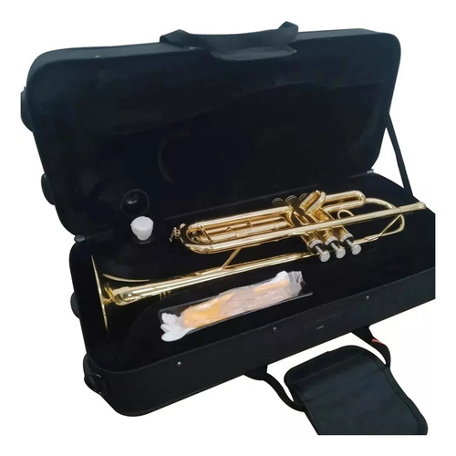 Trompete Michael Wtrm30 Laqueado Com Capa