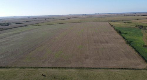 Campo Agricola De 21.5 Has En Corrales (antelo)