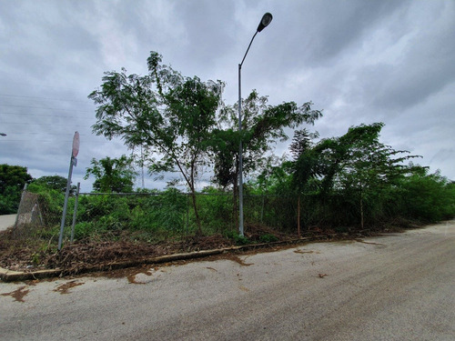 Imagen 7 de 11 de Terrenos En Venta Sobre Avenida En Calle 70 De Caucel