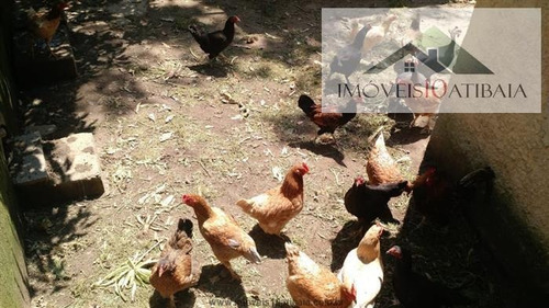 Imagem 8 de 29 de Chácaras À Venda Em Piracaia/sp - Compre O Seu Chácaras Aqui! - 1479418