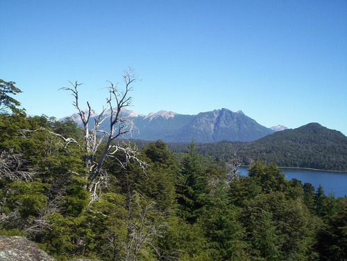 Fraccion De Terreno En Venta Sobre Circuito Chico, Vista Y Bosque - Bariloche