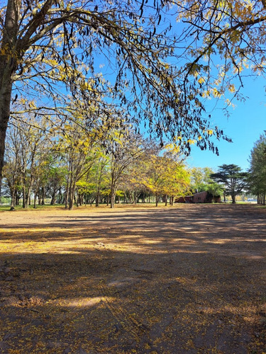 Lotes - Terreno En Venta - Barrio Abierto - Las Merceditas