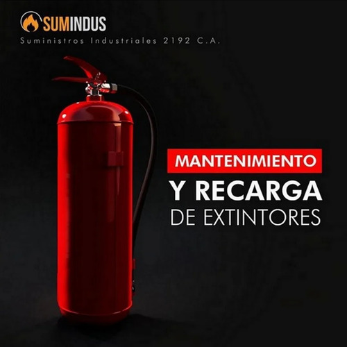 Extin 150 Pqs Matafuego Pqs Manómetro Incluido (Usado)