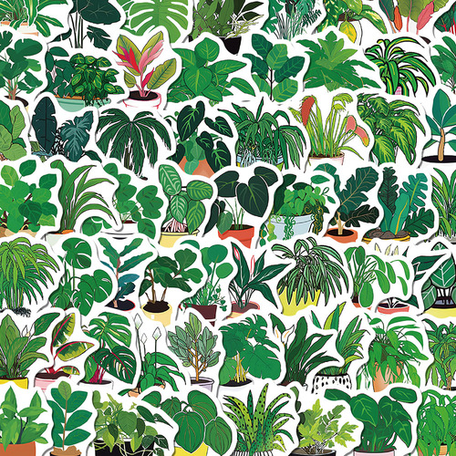 Adesivos De Grafite De Vasos De Plantas Verdes Para Crianças