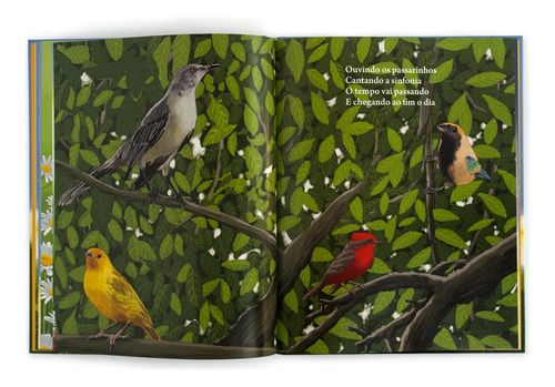 Margarida bem-me-quer, de Knittel Débora. Editorial Solisluna Design Editora, tapa dura en português, 2010