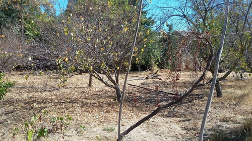 Terreno De 6.500 M2 En La Avenida Principal De Curacavi