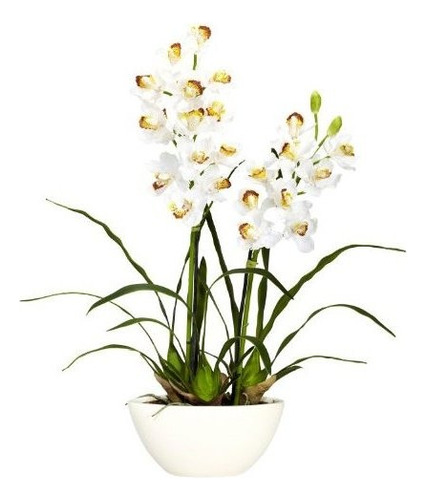 Cymbidium 4803 Casi Natural Con Arreglo De Flores De Se