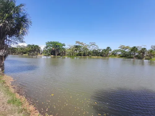 Lotes En Venta Vereda Pompeya 462-1083