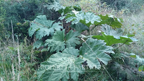 ¡oportunidad! 2 Parcelas Con Vista Al Volcán Villa...