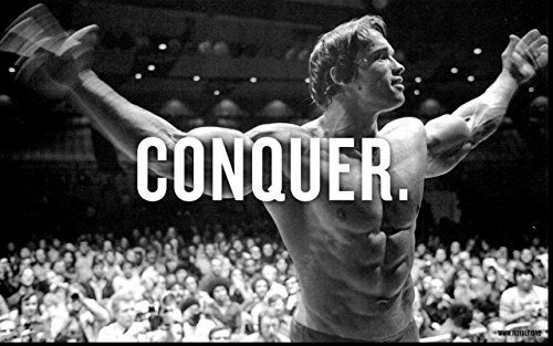 Pósteres - Arnold Schwarzenegger Conquer - Body Building Wal