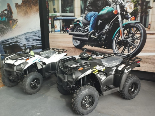 Imagen 5 de 15 de Kawasaki Brute Force 300