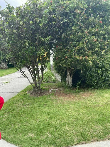 Terreno En Venta, Barrio De San Bernandino, Toluca De Lerdo