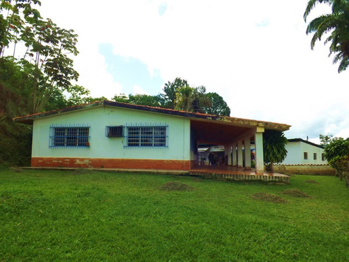 Dc224456 En Venta Hermosa Finca En Los Chaguaramos, Sabaneta Norte - Montalbán Carabobo