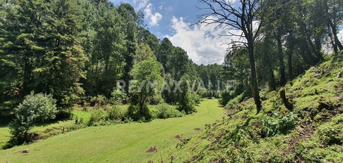 Imagen 1 de 18 de Terreno En Venta.