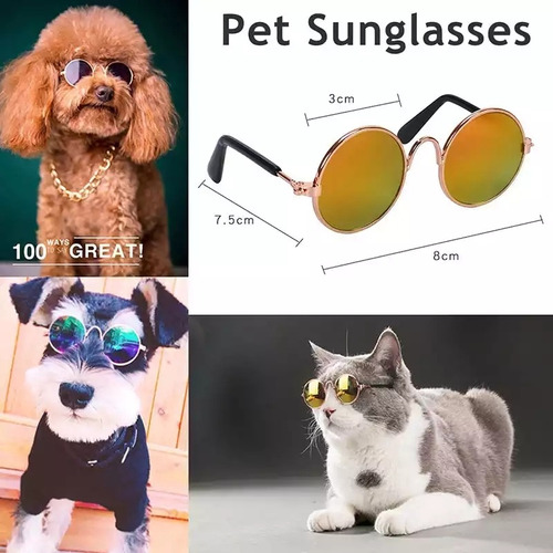 Accesorios 2021 Gafas Sol Mascotas Perro - Gato Cool 