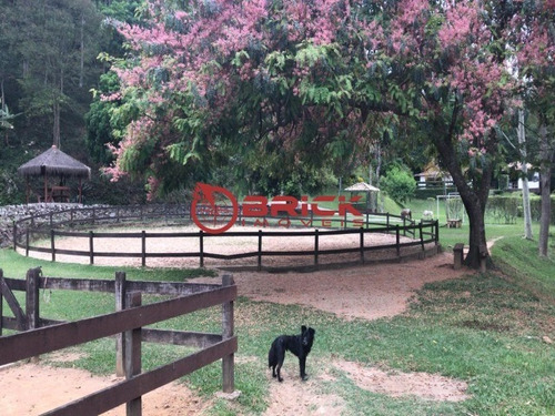 Imagem 22 de 30 de Excelente Haras Com 58.400 M² Em Petrópolis - St00141 - 34619909
