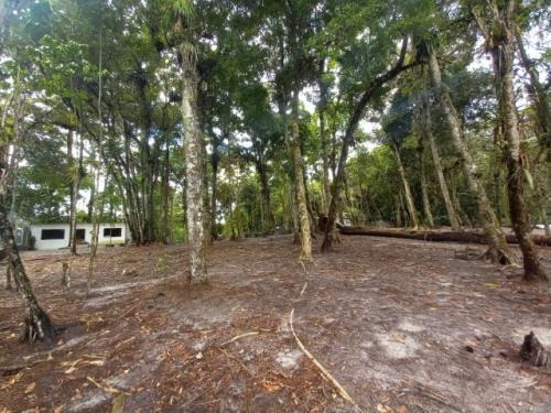 Imagem 11 de 14 de Chácara À Venda Com Lago E Edícula. Itanhaém/sp | 9580-pc
