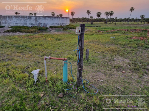 Campo En Venta 1217 Has En Villa Guillermina, Santa Fe.