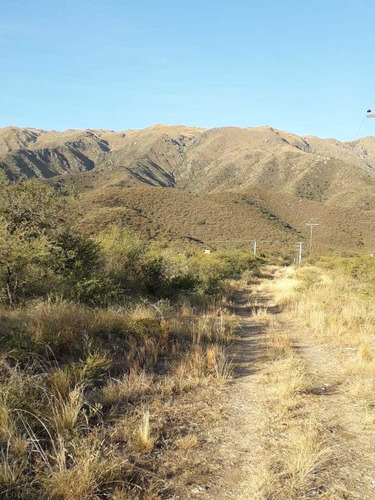 Imagen 3 de 5 de 23704 M2 En Los Molles Arriba Cerca Camping El Talar Divino!