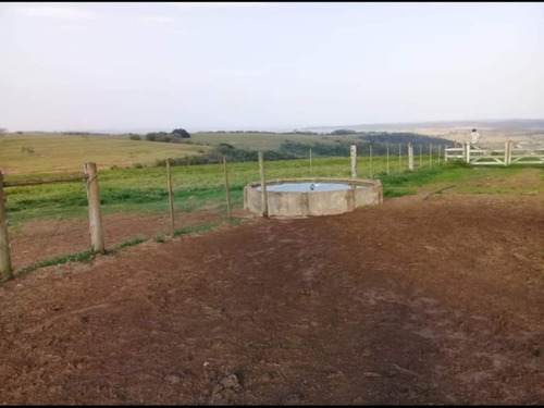 Fazenda À Venda Em Echaporã/sp - Fa00122 - 69026868