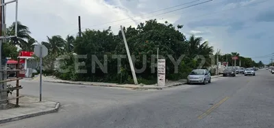 Terreno en renta
