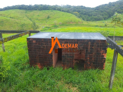 Imagem 4 de 30 de Fazenda - Fa00008 - 70442266