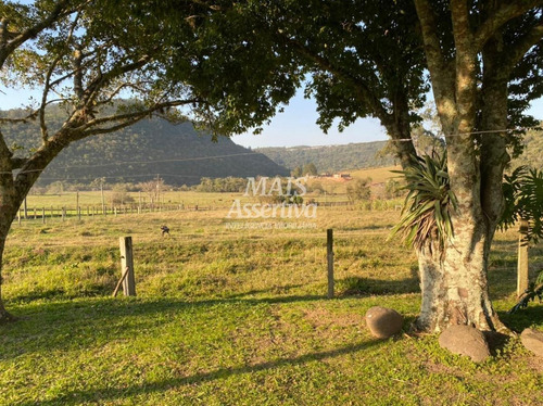 Imagem 4 de 15 de Sítio Para Venda Em Taquara, Fazenda Fialho, 3 Dormitórios, 1 Banheiro, 1 Vaga - 164897-jv_2-1345520