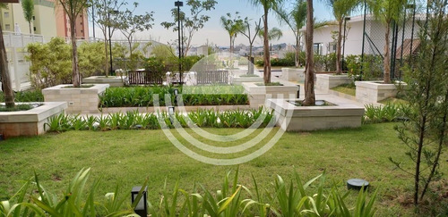 Imagem 30 de 30 de Apartamento À Venda Em Ponte Preta - Ap006022