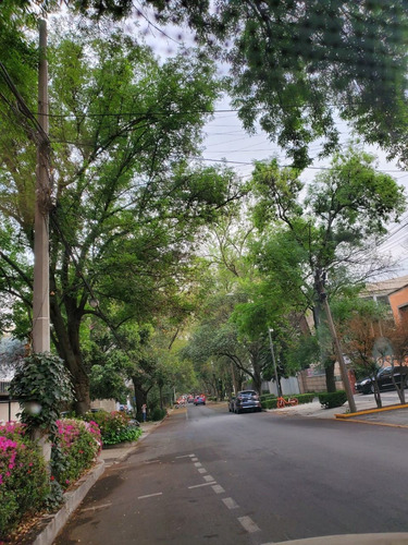 Imagen 3 de 15 de Terreno Polanco.rectangular, Buen Frente. , Cerca De Reforma