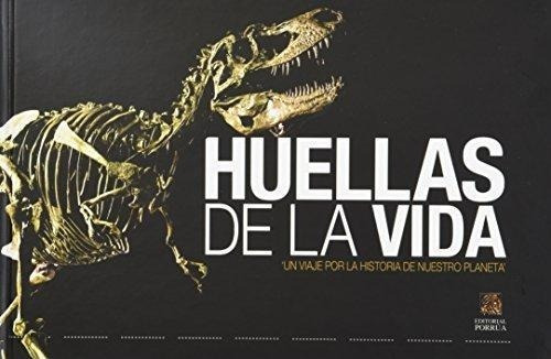 Huellas De La Vida Un Viaje Por La Historia De Nuestro Planeta, De González González, Arturo H.. Editorial Porrúa México, Tapa Blanda, Edición 1, 2009 En Español, 2009